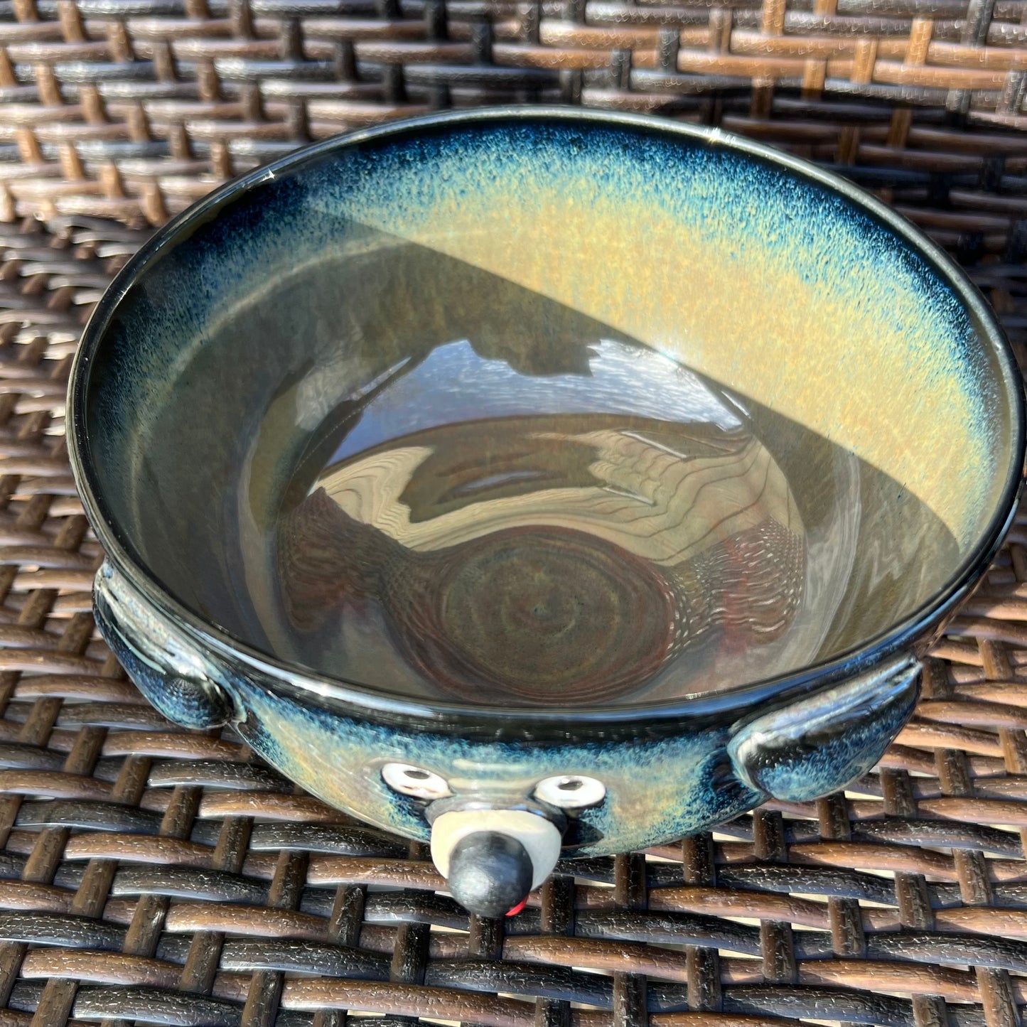 Rock Dogs Pet Serving Bowl - Coyote