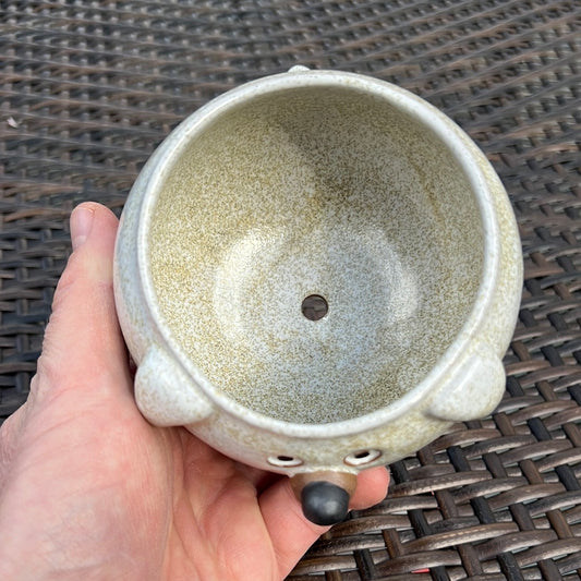 Rock Dogs Planter w/ drip hole - Terrazzo