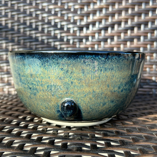 Rock Dogs Pet Serving Bowl - Coyote