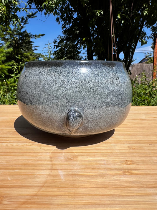 Rock Dogs Planter w/ drip hole - Night Sky