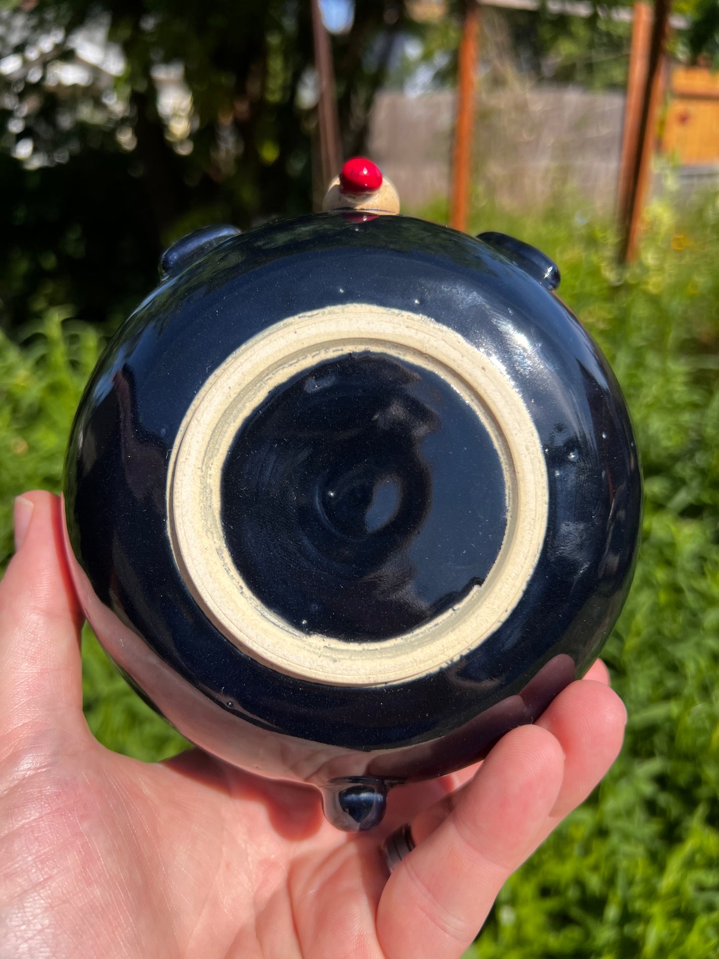 Rock Dogs Pet Serving Bowl - Glossy Black