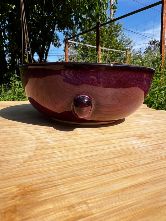 Rock Dogs Pet Serving Bowl - Purple Rain