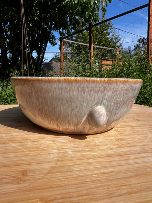 Rock Dogs Pet Serving Bowl - Shoreline