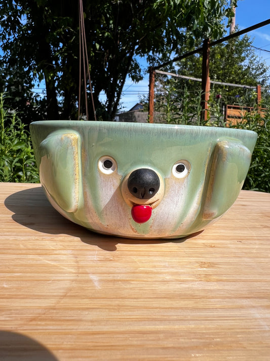 Rock Dogs Pet Serving Bowl - Drippy Mint