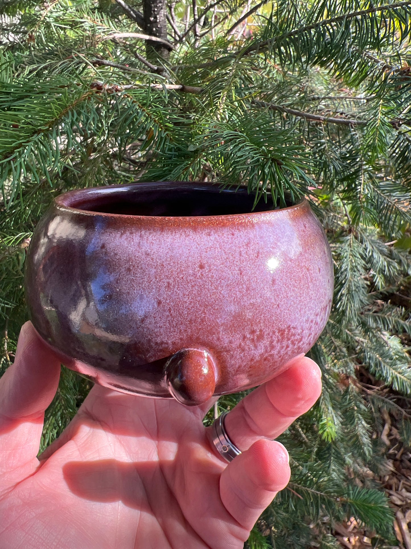 Rock Dogs Planter w/ drip hole - Purple