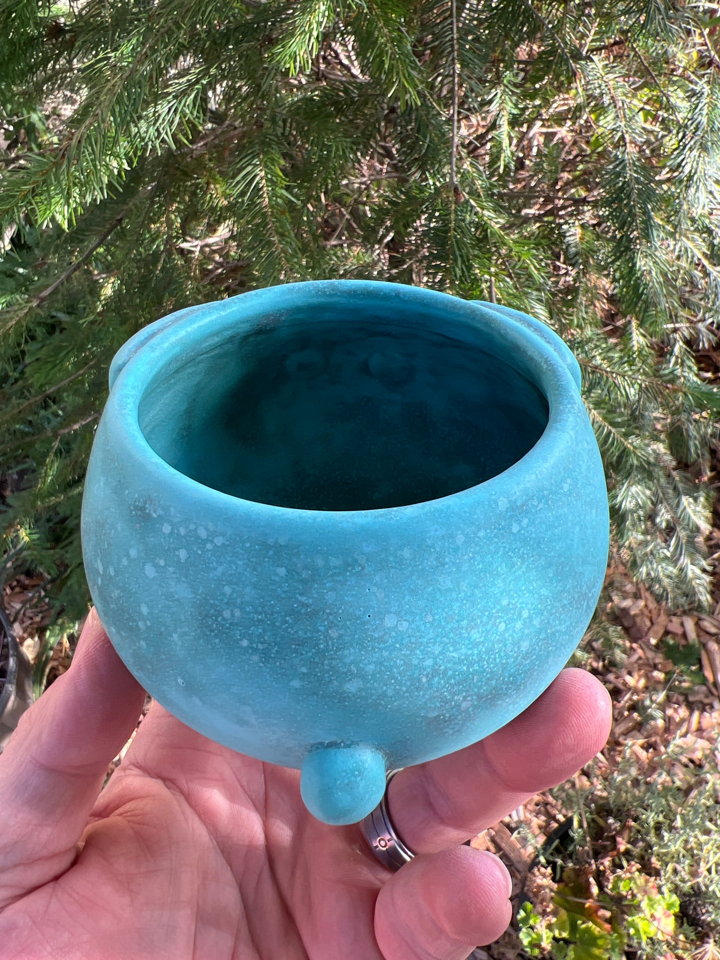 Rock Dogs Planter w/ drip hole - Aqua