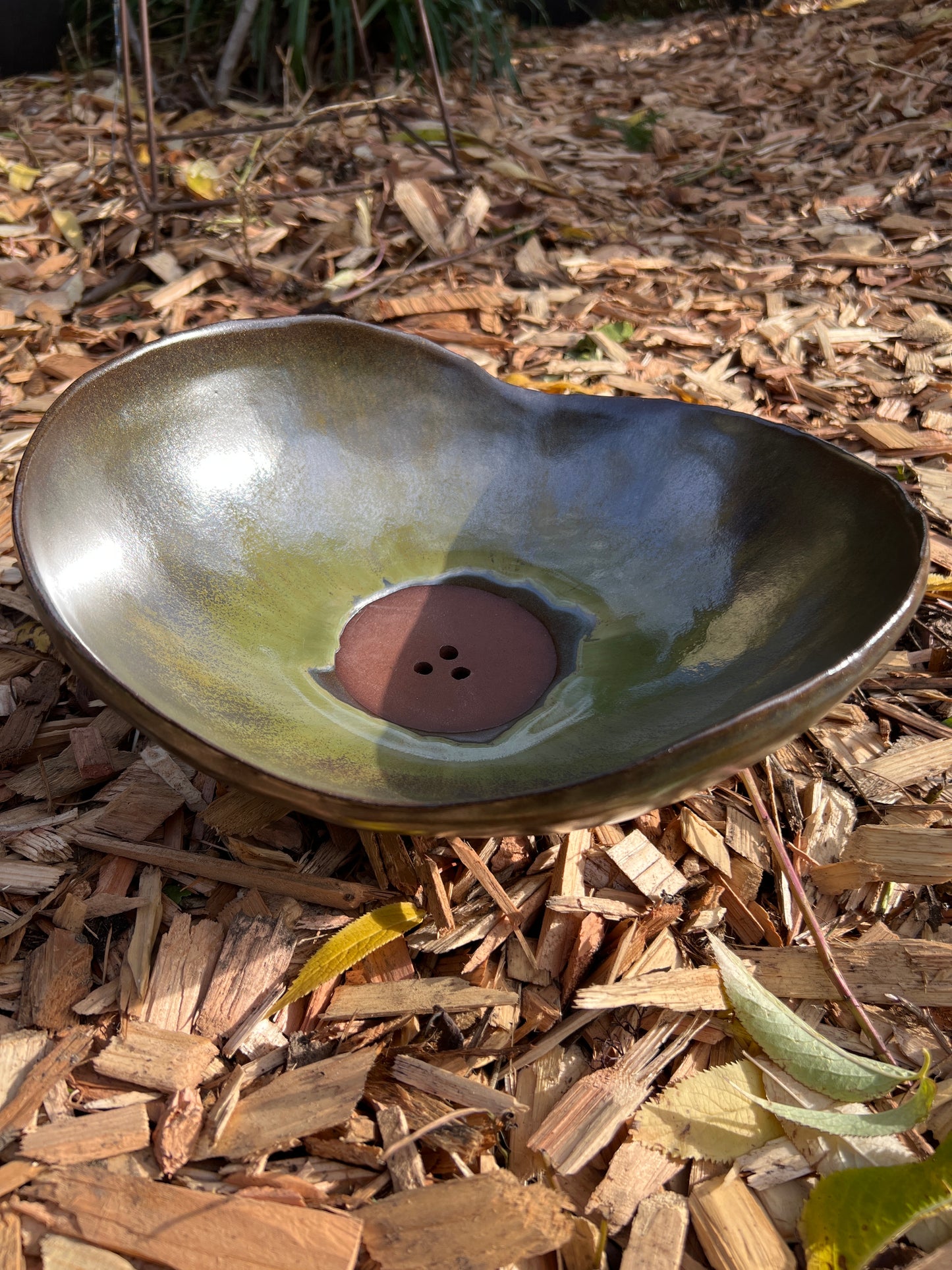 Succulent Forest Bowl w/ drain holes | ROCK HOME Collection | Bronze