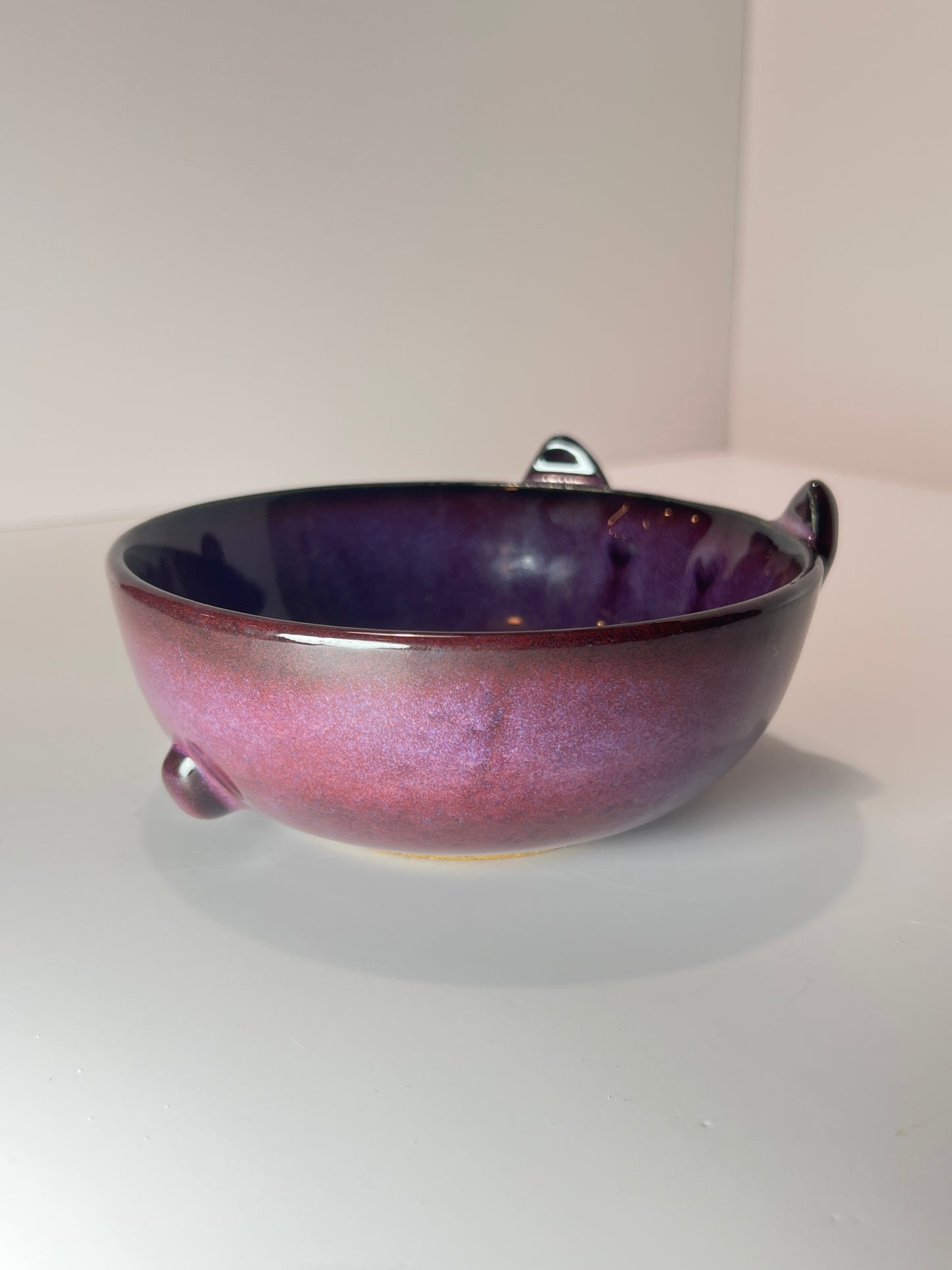 Rock Dogs Pet Serving Bowl - Purple