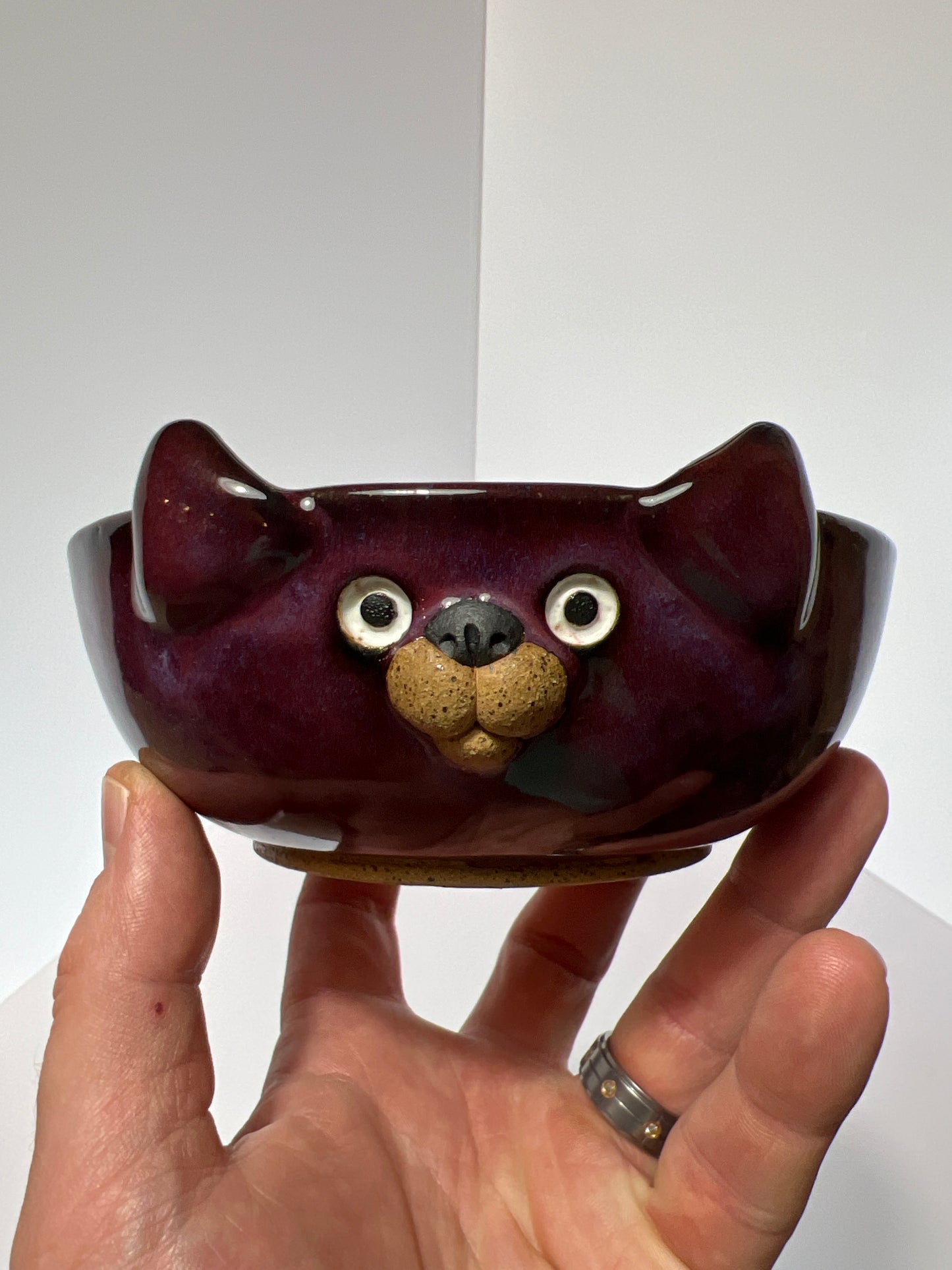 Rock Dogs Pet Serving Bowl - Sea Dream