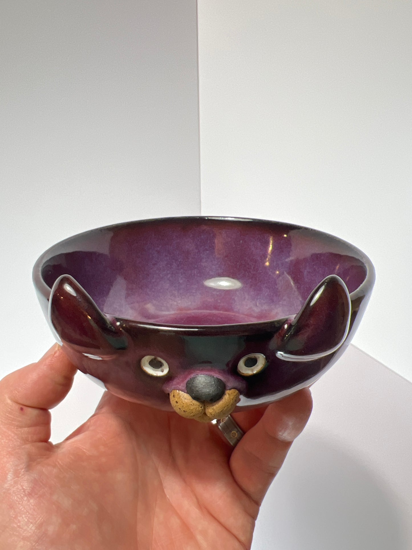 Rock Dogs Pet Serving Bowl - Purple