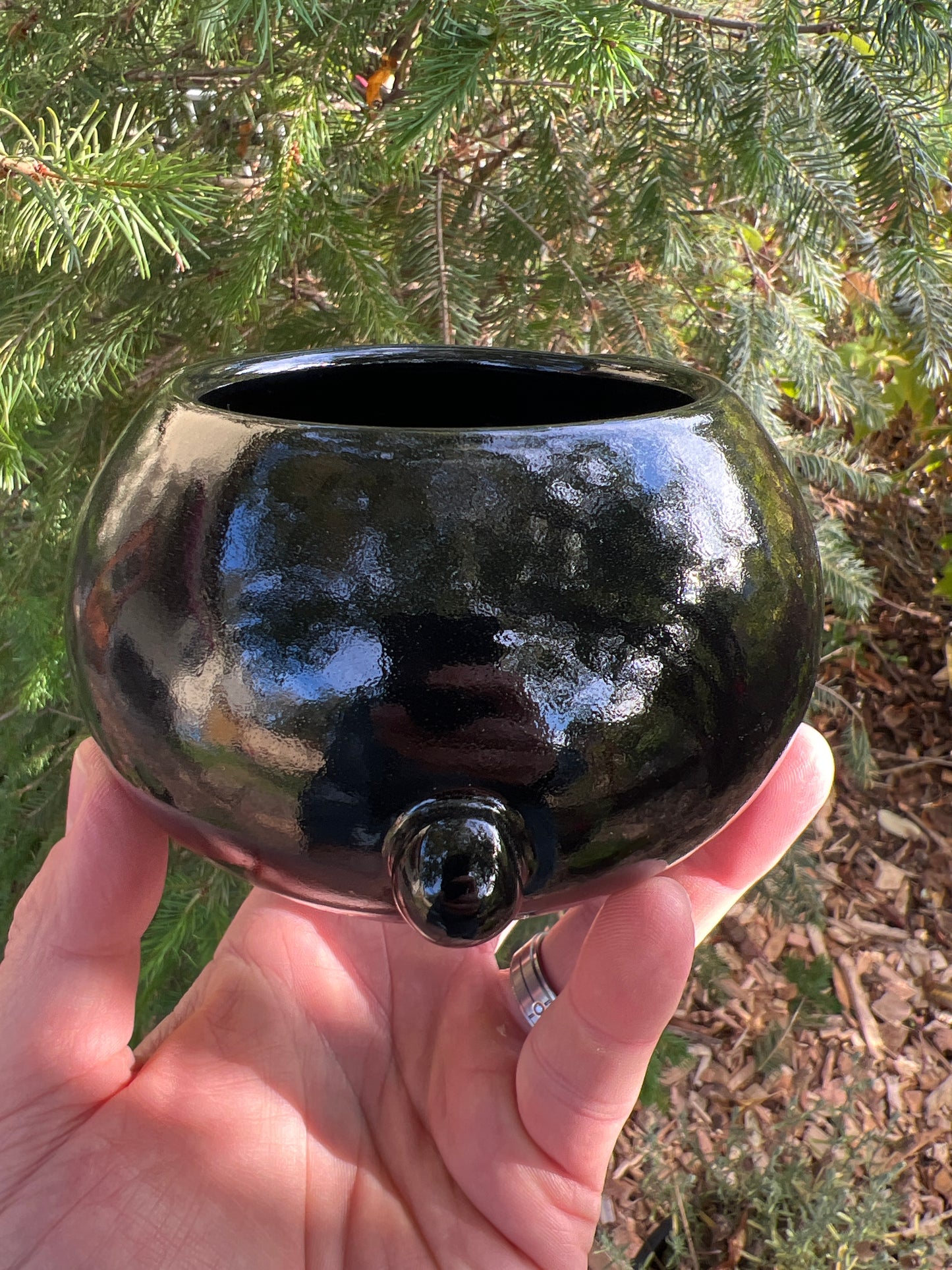 Rock Dogs Planter w/ drip hole - Glossy Black