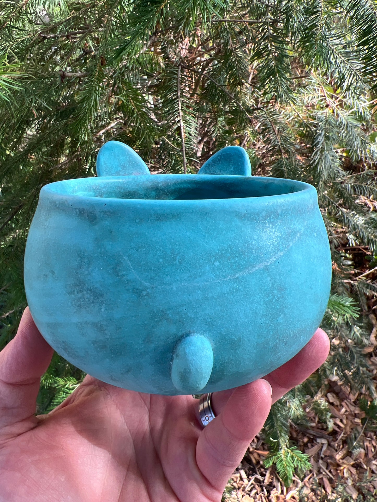 Rock Dogs Planter w/ drip hole - Aqua