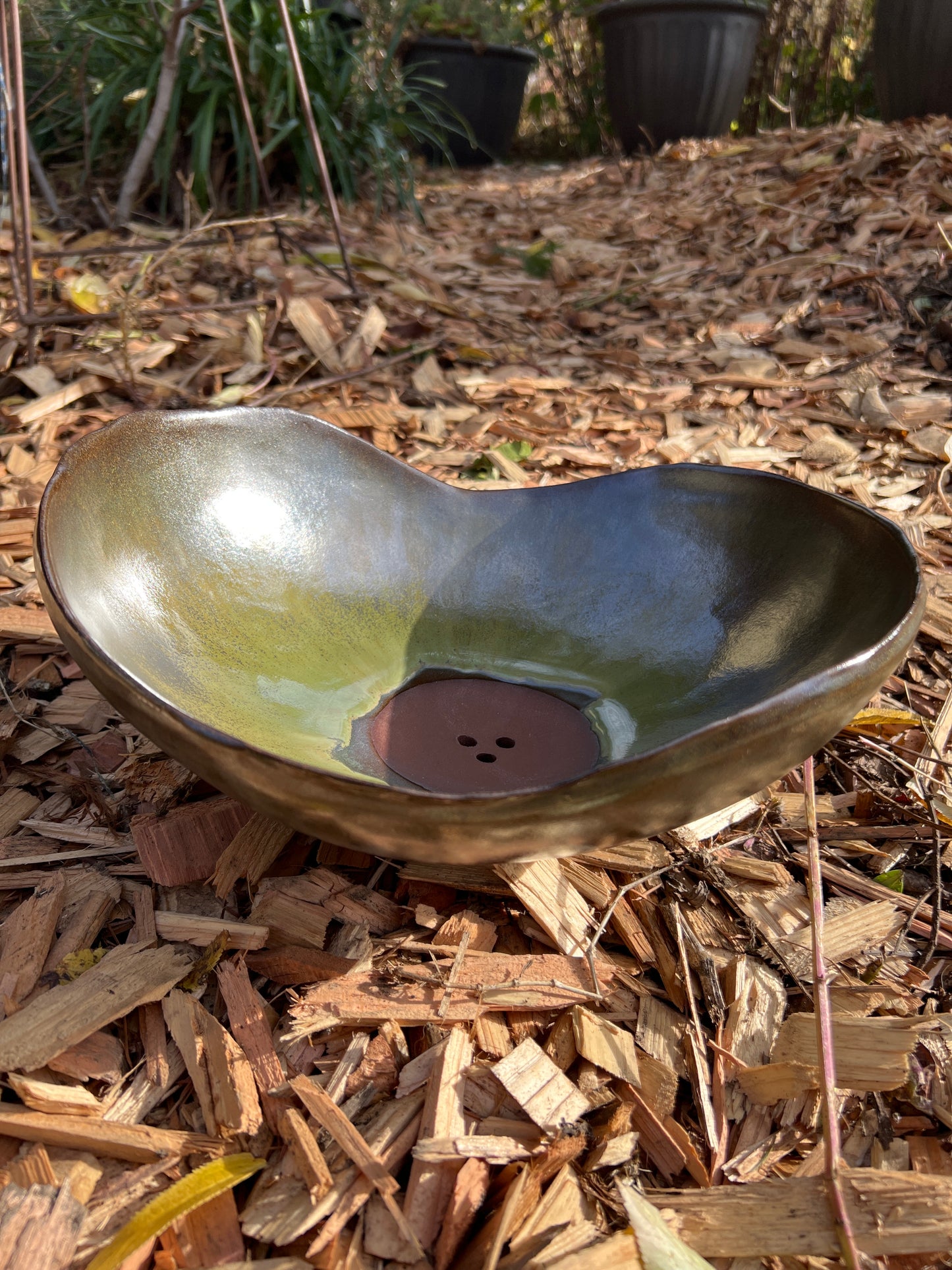 Succulent Forest Bowl w/ drain holes | ROCK HOME Collection | Bronze