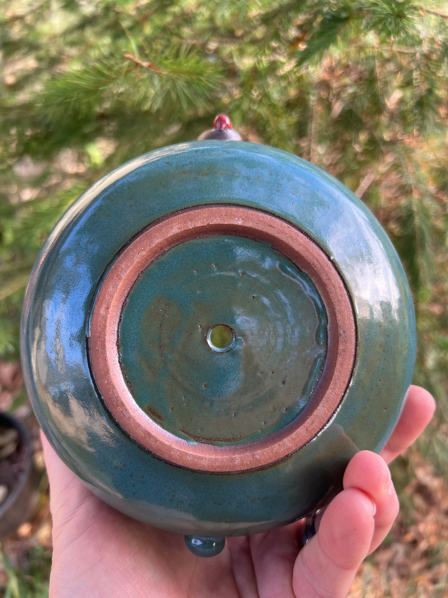 Rock Dogs Planter w/ drip hole - Turquoise