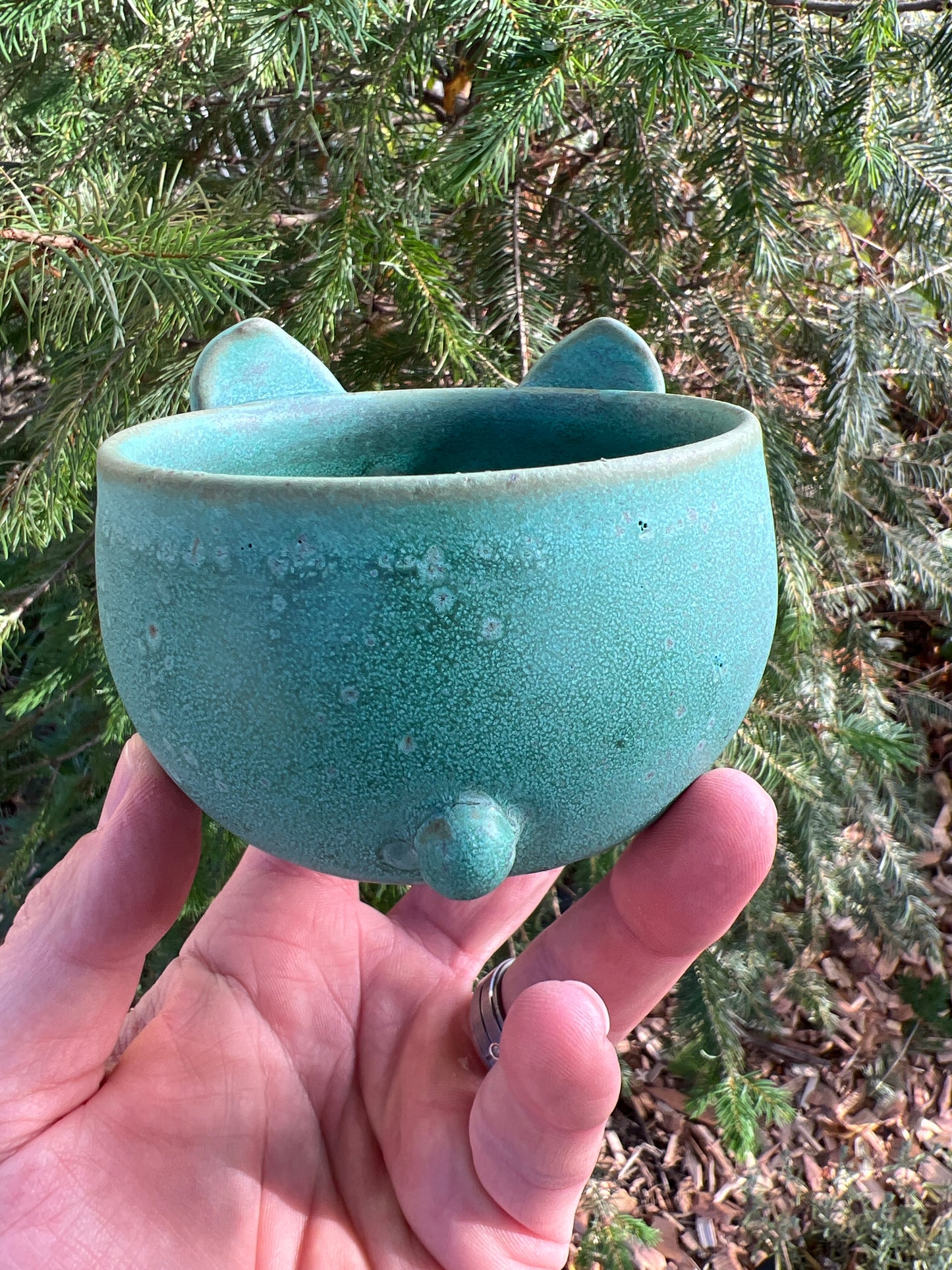 Rock Dogs Planter w/ drip hole - Copper Patina