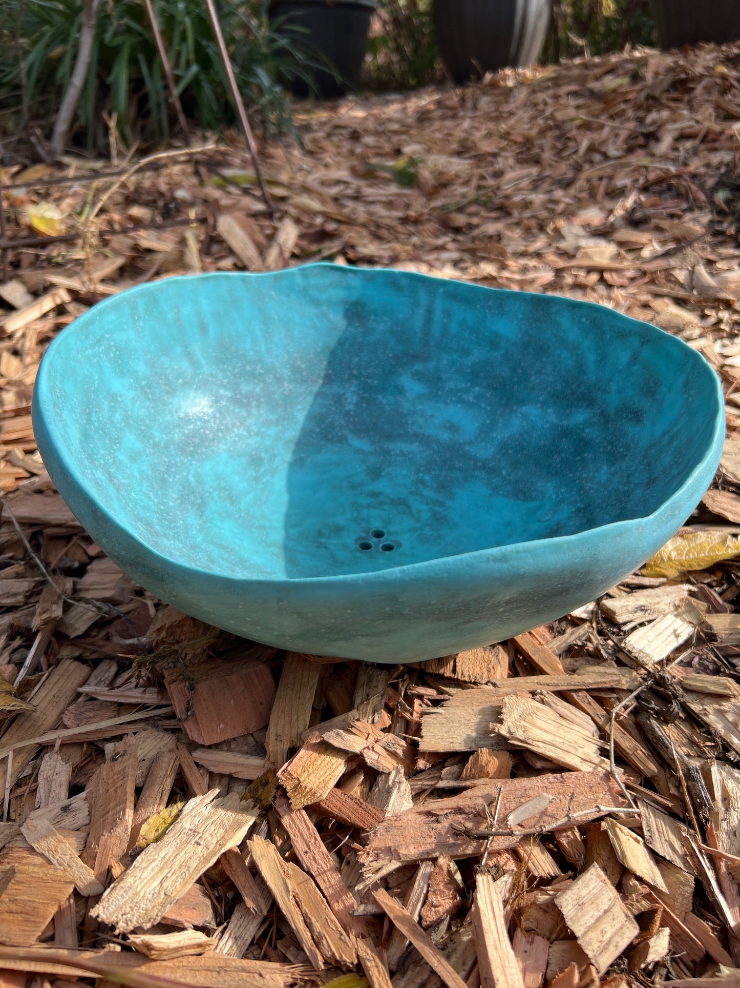 Succulent Forest Bowl w/ drain holes | ROCK HOME Collection | Aqua