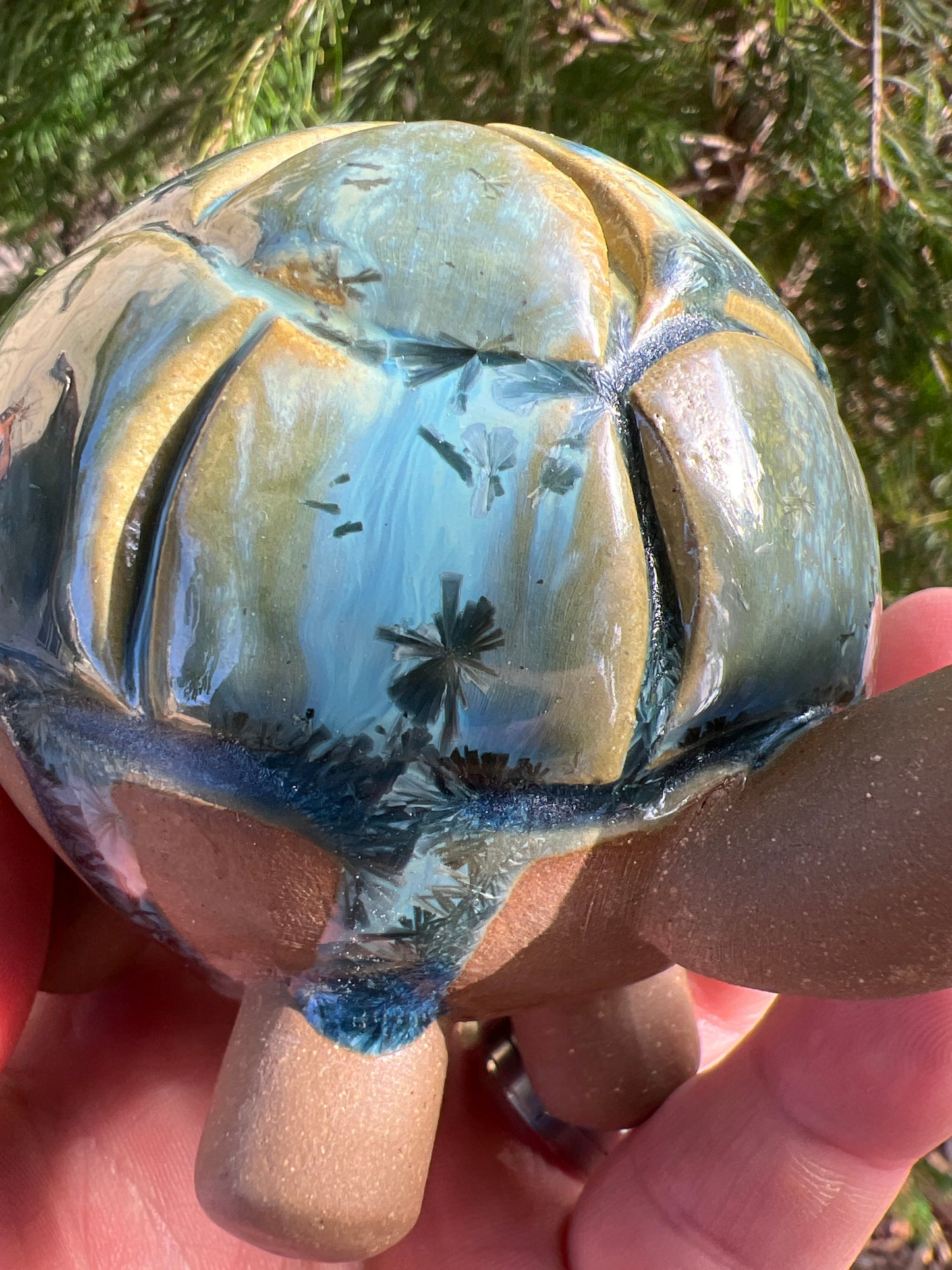 Handmade Rock Turtle (Limited Edition)