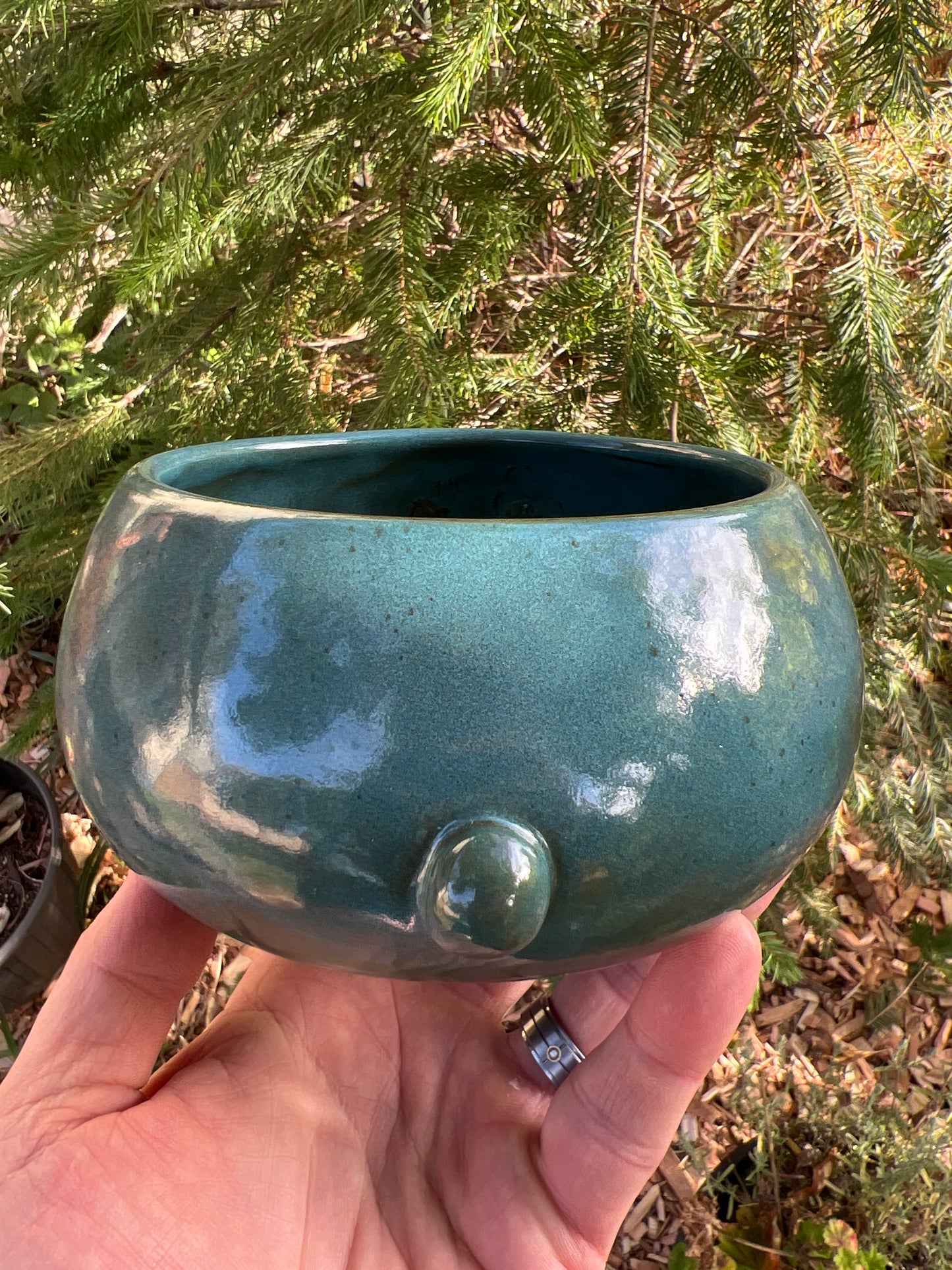 Rock Dogs Planter w/ drip hole - Turquoise