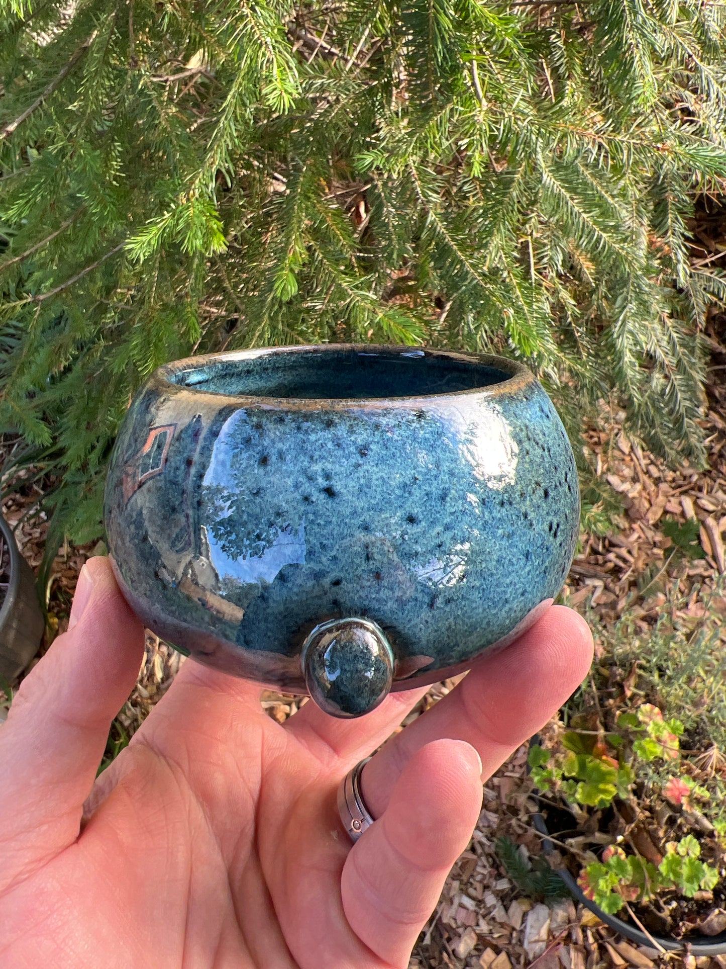 Rock Dogs Planter w/ drip hole - Deep Sea