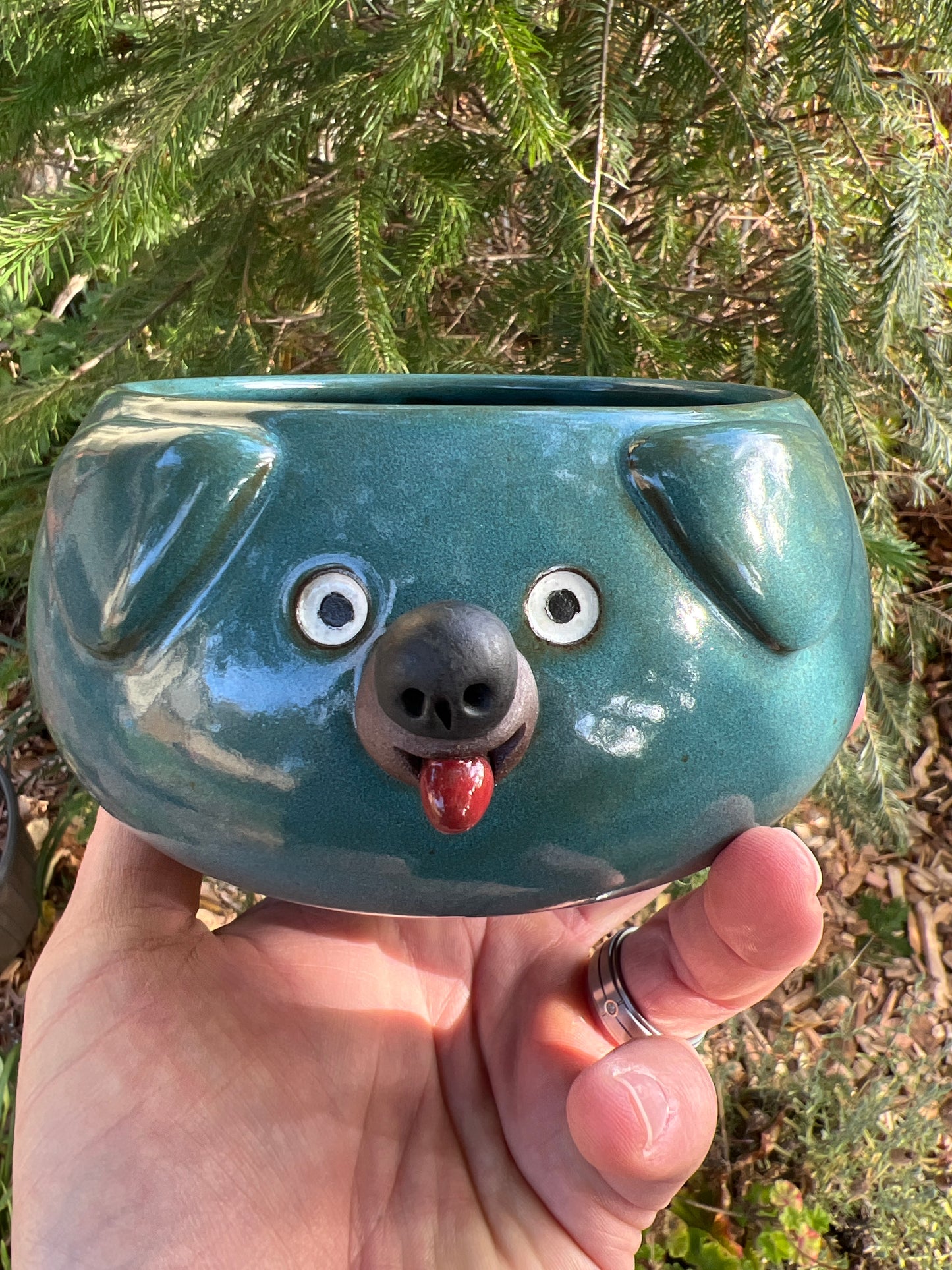 Rock Dogs Planter w/ drip hole - Turquoise