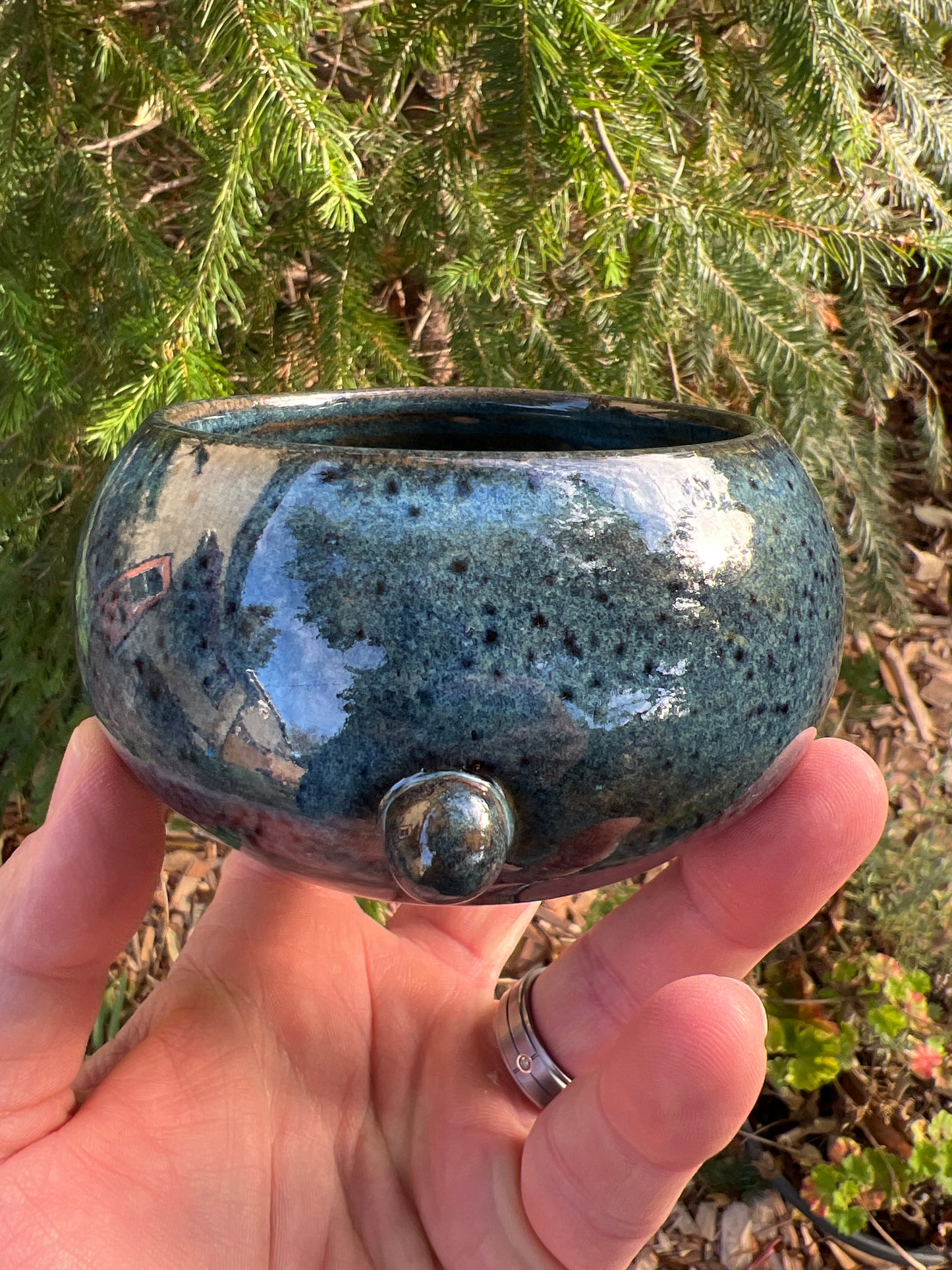 Rock Dogs Planter w/ drip hole - Deep Sea