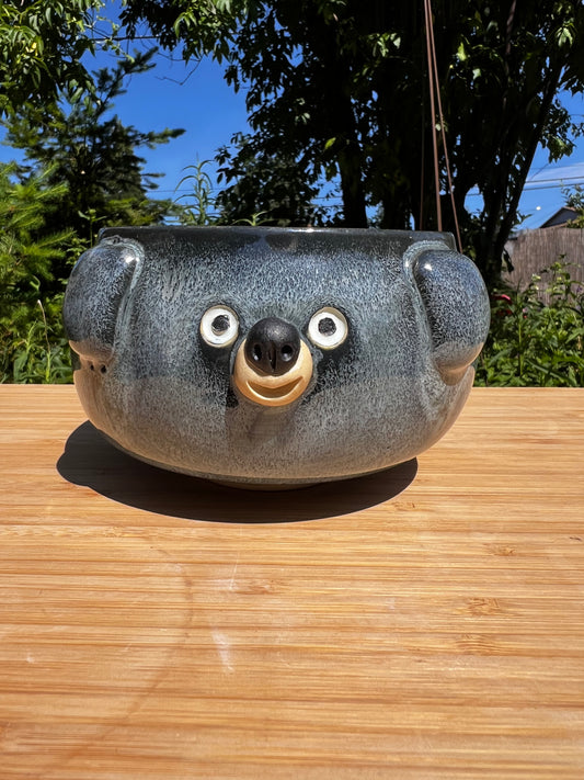 Rock Dogs Planter w/ drip hole - Night Sky